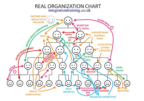 Real Organization Chart